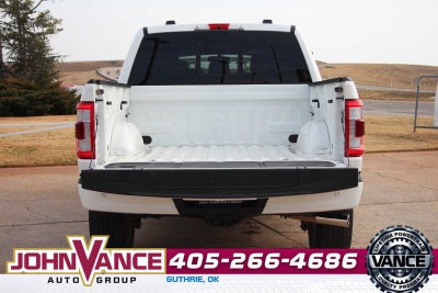 2022 Ford F-150 Platinum